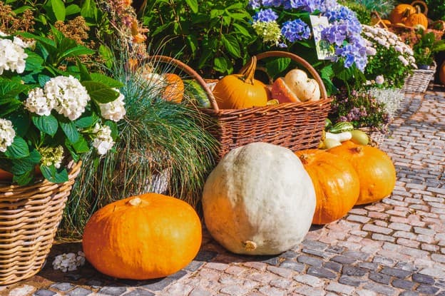 Enjoy A Victorian All Hallow’s Day October 27 Enjoy A Victorian All Hallow’s Day October 27