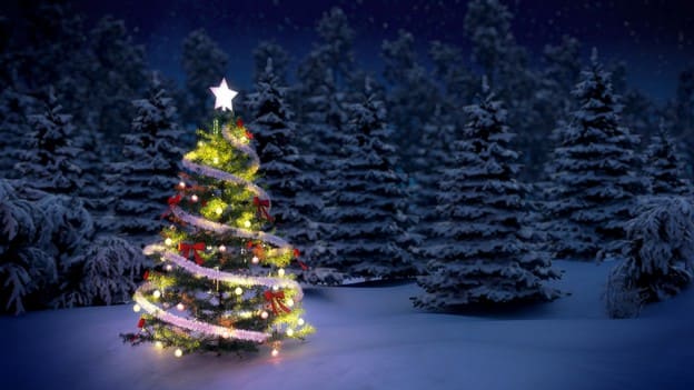 Enjoy The Christmas Nights Events In Rosenberg Enjoy The Christmas Nights Events In Rosenberg